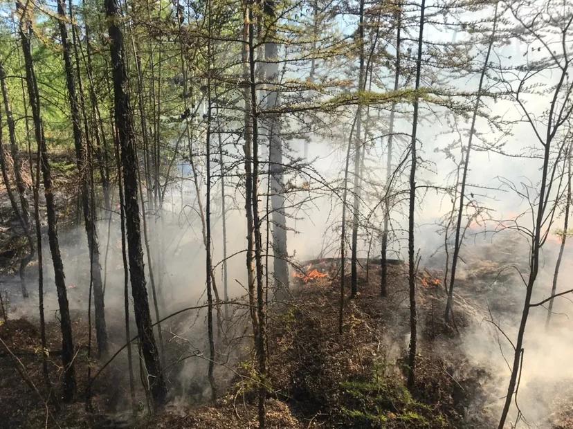 В Якутии экспертный клуб обсудил проблему лесных пожаров