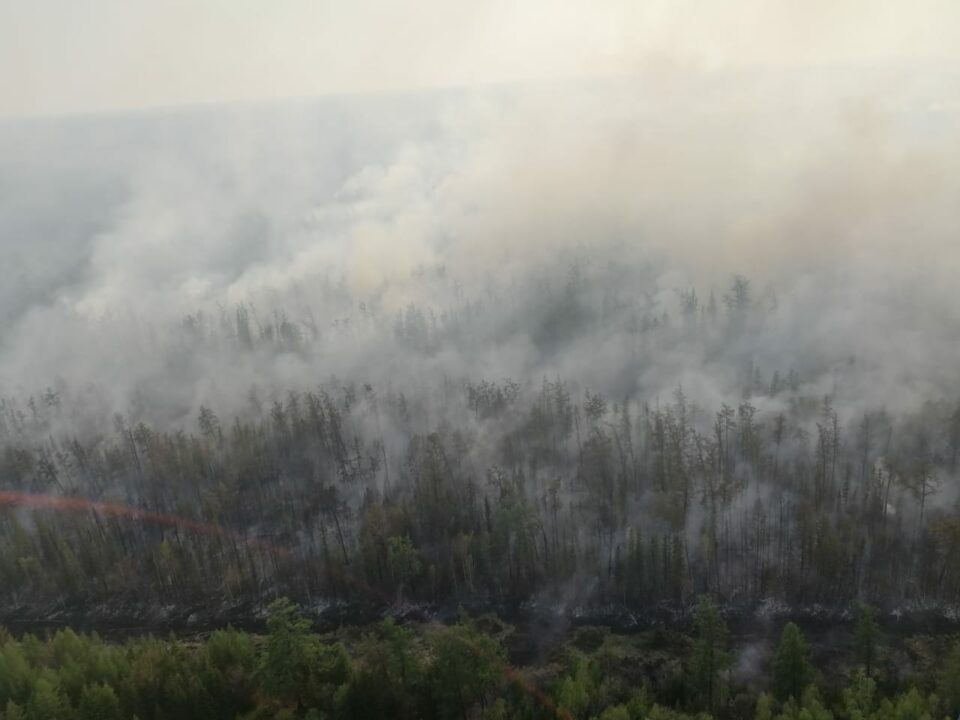 В Якутии по фактам лесных пожаров возбуждено 4 уголовных дела
