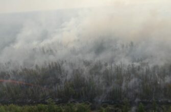 Оперативный штаб Якутии: На всей территории республики действует особый противопожарный режим