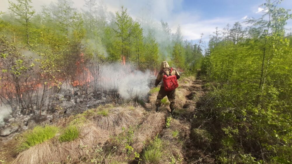 В Якутии тушат 19 лесных пожаров