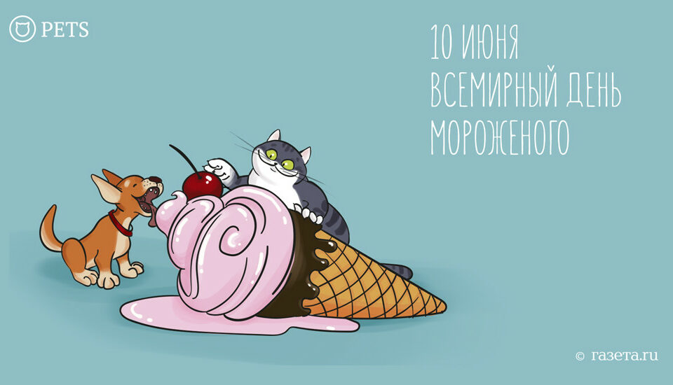 Новый Год 10 Июня