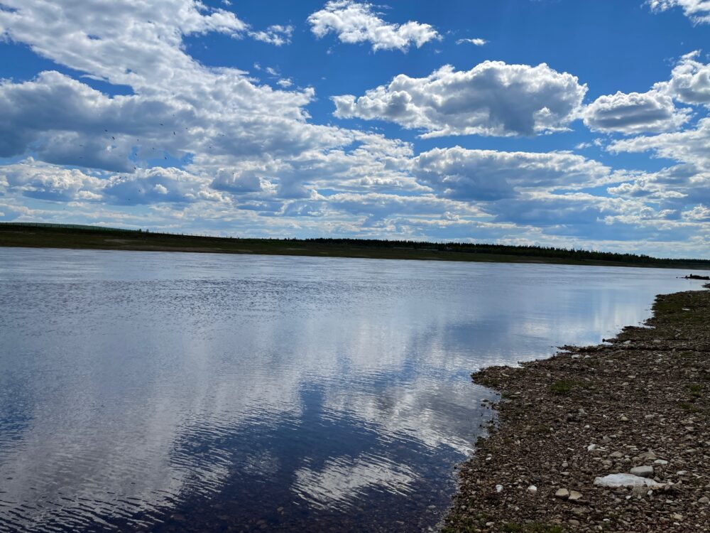 Директор ООО «Ангара» прокомментировал слухи о лесозаготовительных работах возле реки Амги в Якутии