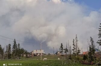85 человек задействовано в борьбе с лесным пожаром возле села Кюкяй Сунтарского улуса