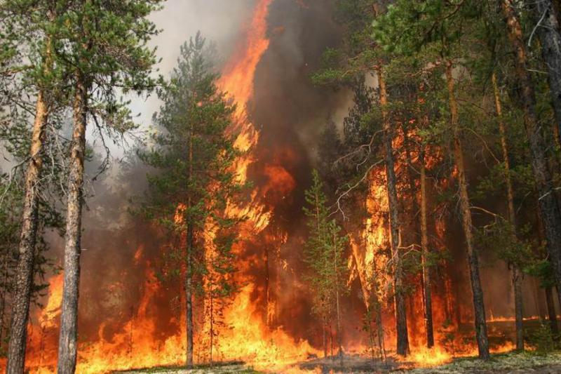 В Момском районе тушат два лесных пожара