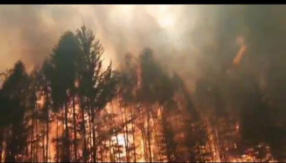 Следствие возбудило дело о халатности по факту лесного пожара в Нюрбинском районе