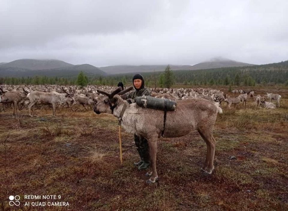 Школьники Булунского района Якутии выехали в оленеводческие стада