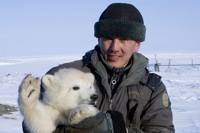 Хозяева тундры. Как в якутской Арктике следят за белыми медведями