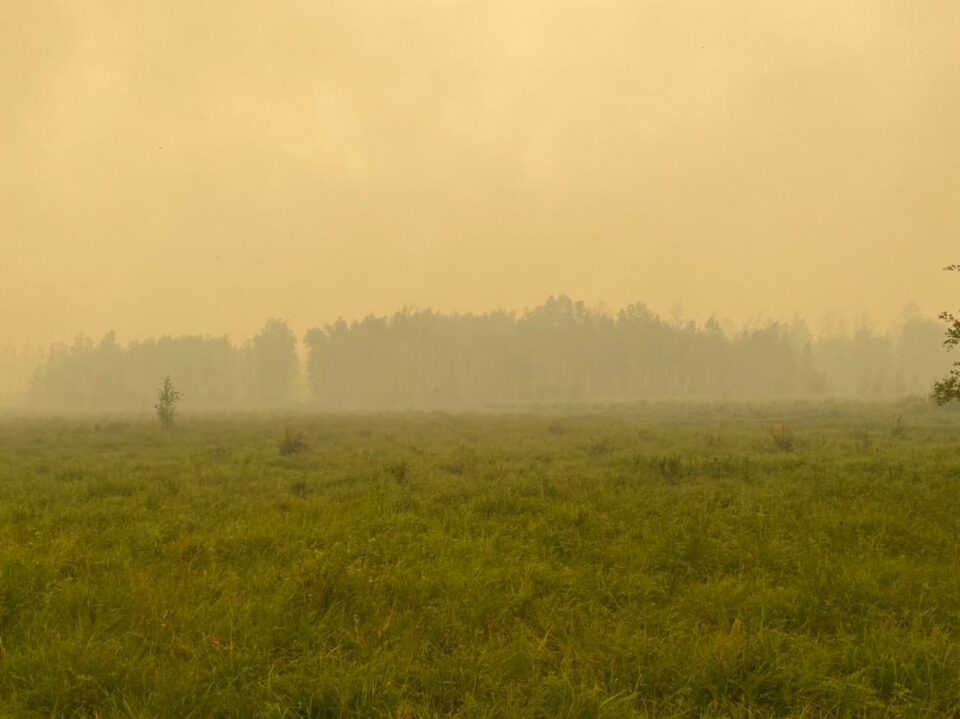 На тушении лесного пожара в Ерт Шологонского наслега Горного улуса работают 47 человек