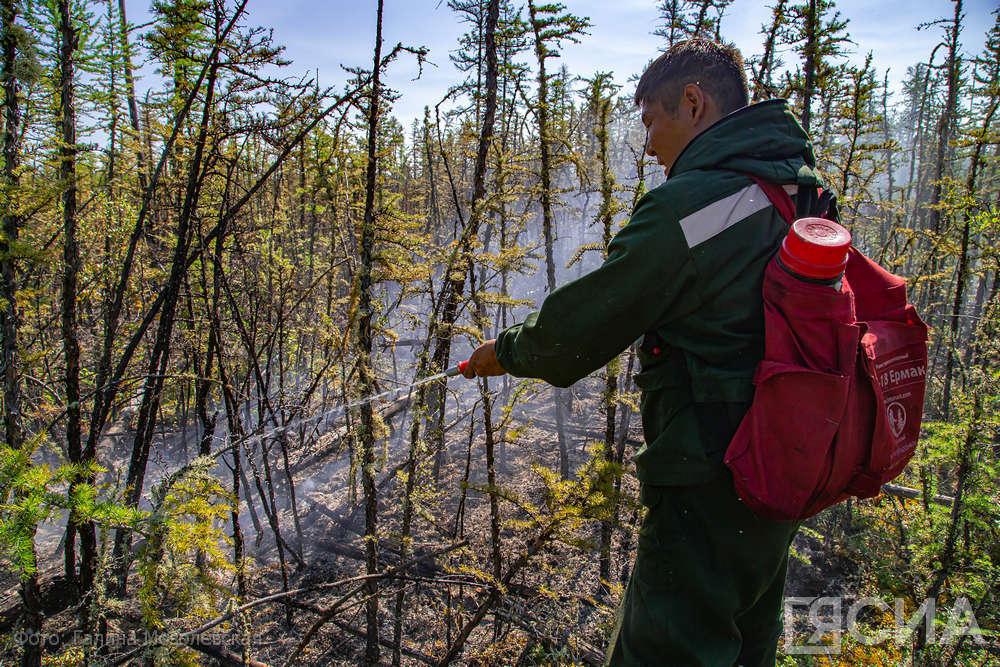 В Якутии за сутки ликвидировали 14 лесных пожаров