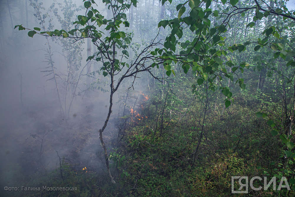 В Якутии ведутся работы по тушению 37 лесных пожаров