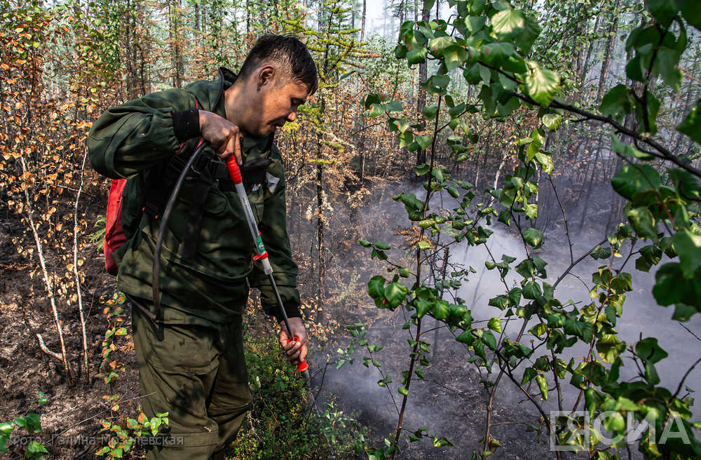 Участников тушения лесных пожаров в Якутии наградят почетными знаками