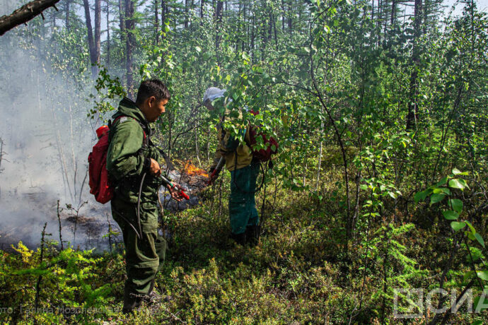 В Якутии не зафиксировано действующих лесных пожаров