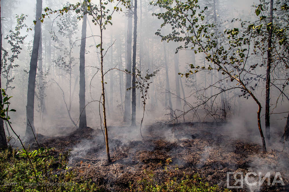 «Сахатранснефтегаз» борется с лесными пожарами в Тастахском наслеге Якутии