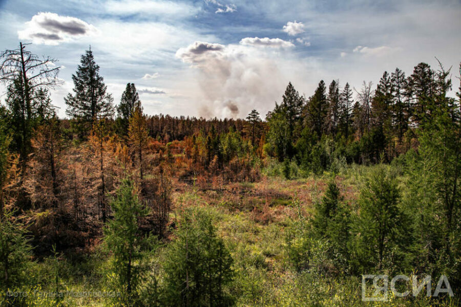 Якутский проект противодействия лесным пожарам вошел в число победителей конкурса IT-решений