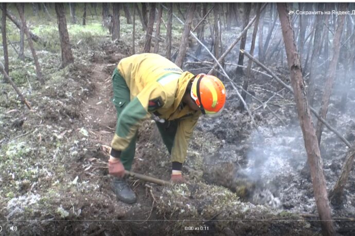Лесной пожар в Мирнинском районе Якутии локализовали