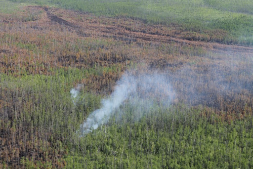 В Якутии за сутки ликвидировано 2 природных пожара