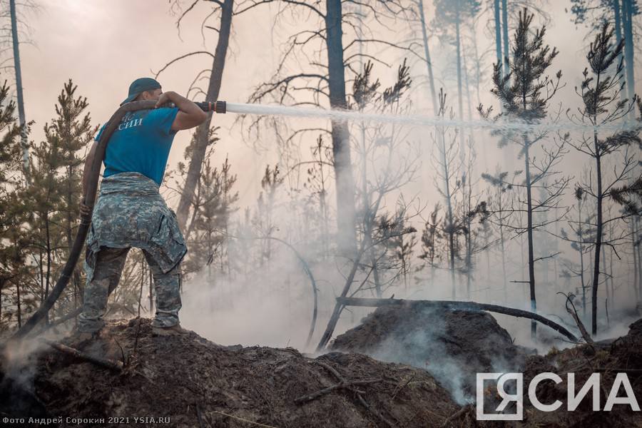Жаркая и сухая погода может увеличить количество лесных пожаров в Якутии