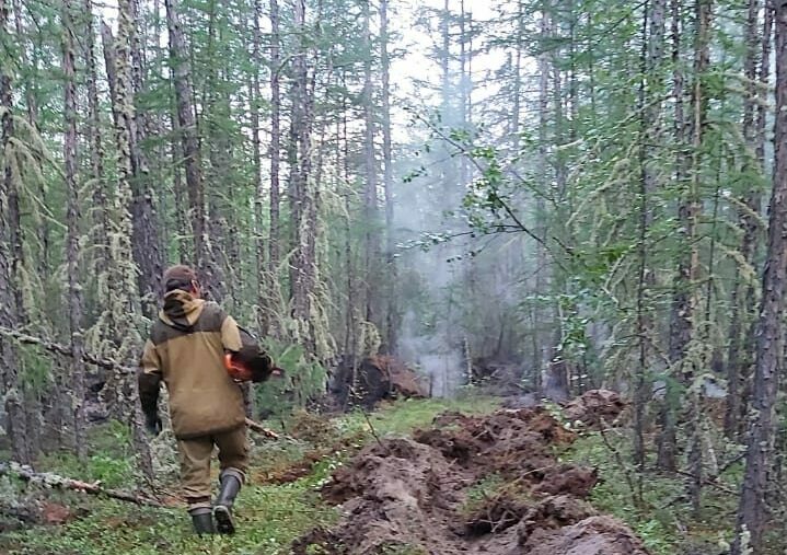 В Якутии тушат 75 лесных пожаров, ликвидировано - 41