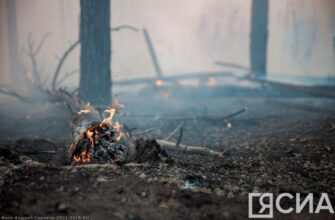 На тушение лесных пожаров в Якутии поедут добровольцы из министерств республики