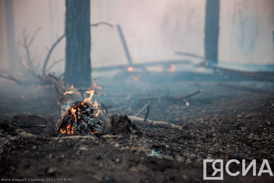 Сложная обстановка по лесным пожарам сохраняется в Алданском, Усть-Майском и Мирнинском районах