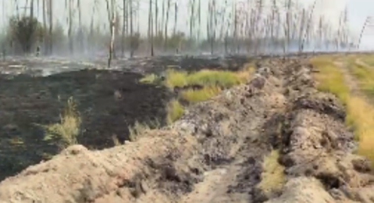 Пожар на границе города Якутска, Намского и Горного районов локализовали
