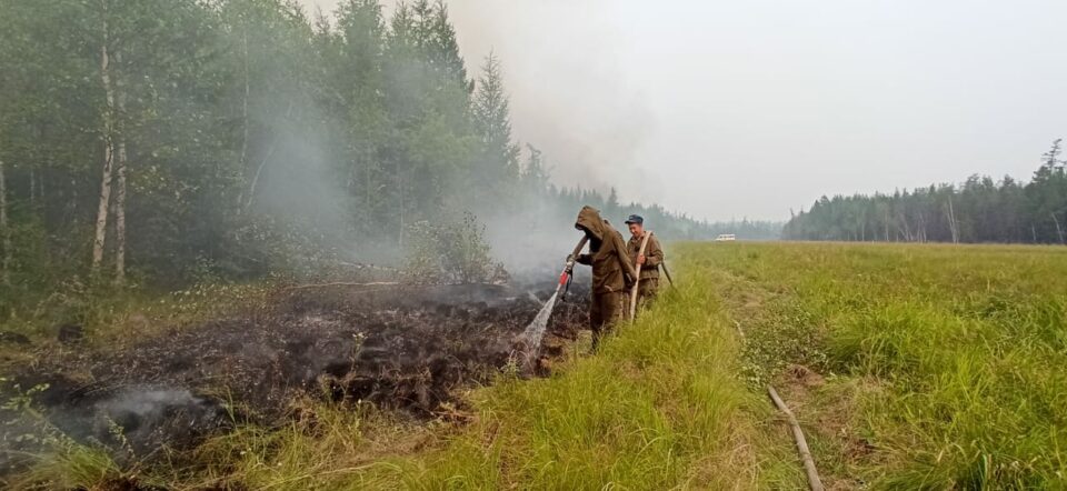 Лесной пожар в Олекминском районе Якутии локализовали с трех сторон