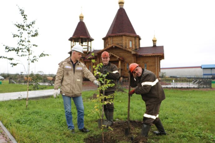 В Якутии сотрудники компании "Колмар" высадили около ста берез