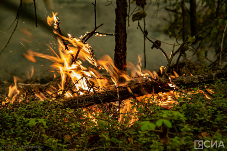 За сутки в Якутии потушили 19 лесных пожаров