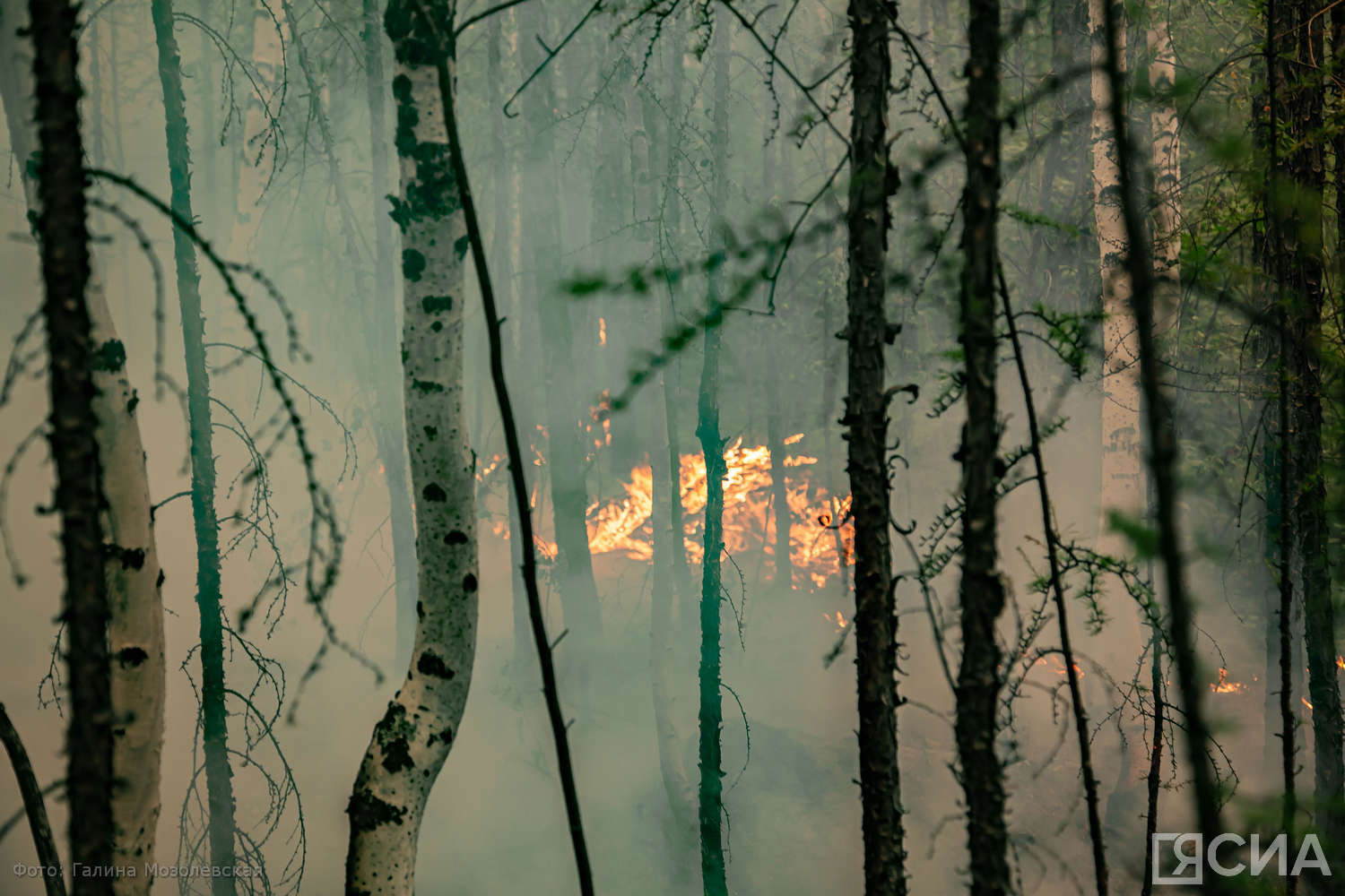 В Якутии за сутки ликвидировали 10 лесных пожаров