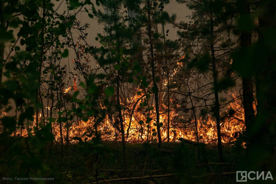 Национальные общины и диаспоры Якутии помогают в борьбе с лесными пожарами