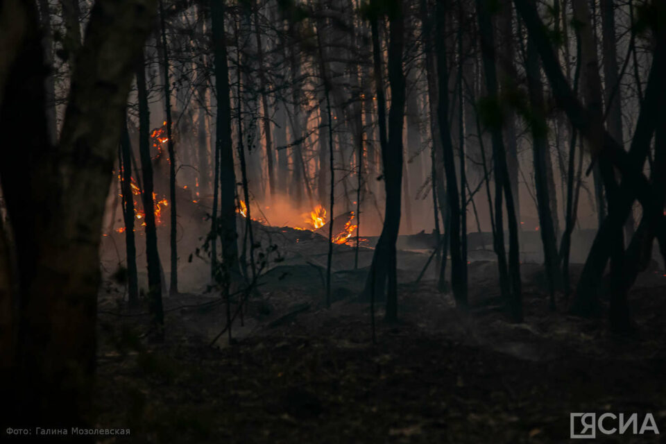 В Якутии ликвидировали лесной пожар на площади более 600 га