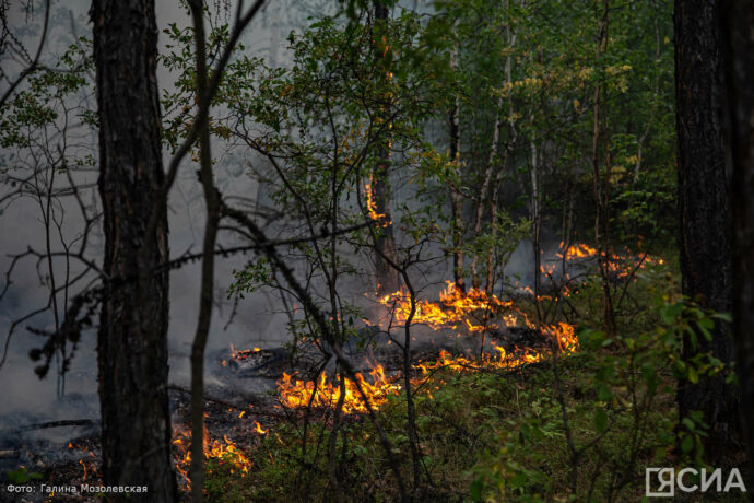 Глава Рослесхоза: Составлен детальный план по тушению лесных пожаров в Якутии