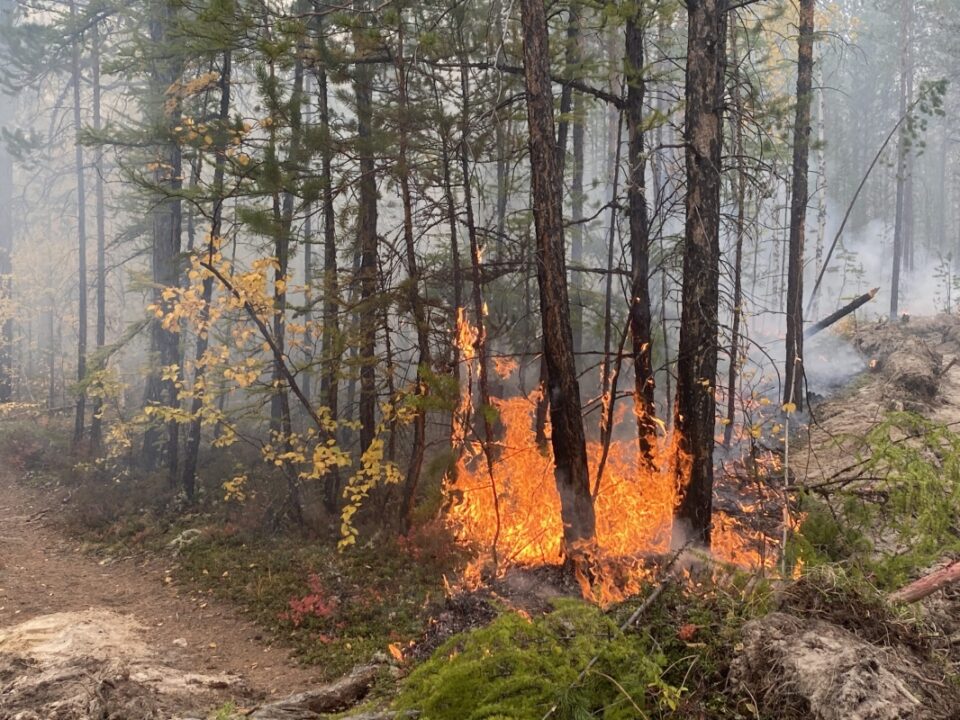 В Якутске локализован лесной пожар по Вилюйскому тракту