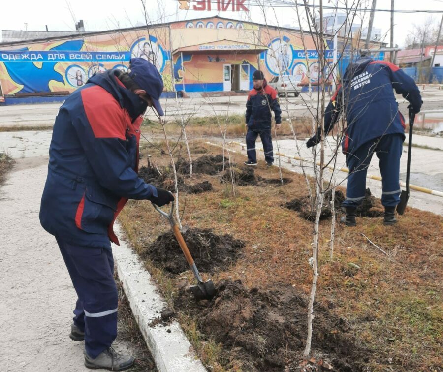 Сотрудники Службы спасения Якутии озеленили территорию