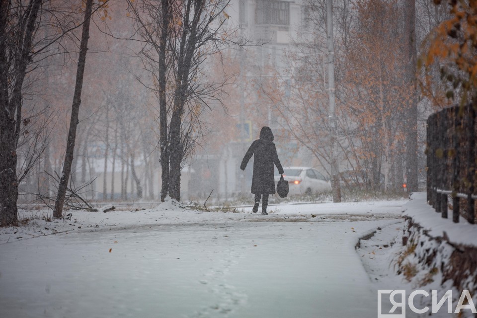 В Якутске 5 ноября синоптики обещают снег
