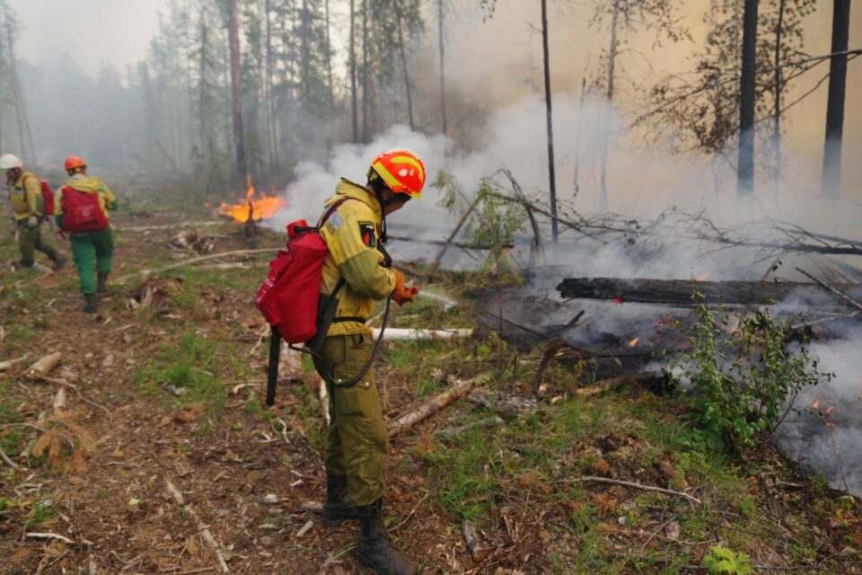 В Якутии тушат шесть лесных пожаров