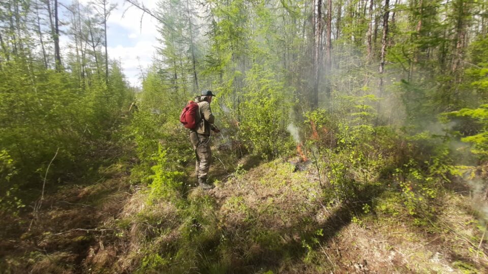В Якутии действуют 29 природных пожаров
