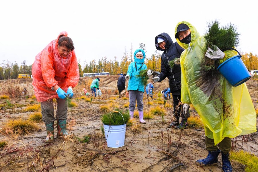 Студенты и банковские работники участвуют в восстановлении леса в Якутии