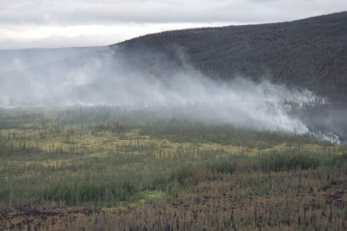 Эксперт: В Сибири сейчас весенний пик пожаров