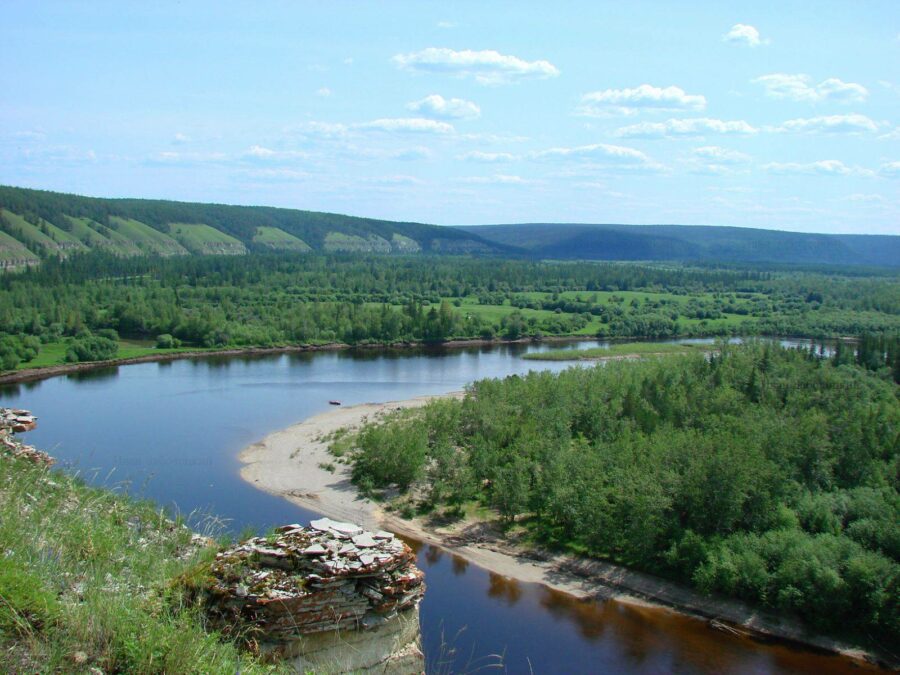 Компания «Таас-Юрях Нефтегазодобыча» высадила более 100 тысяч саженцев в Якутии