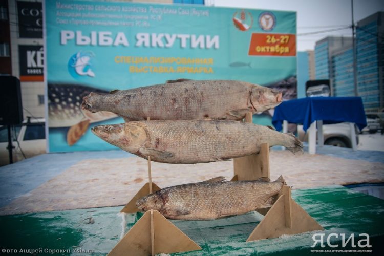 Рыбную ярмарку в Якутске планируют провести в конце октября