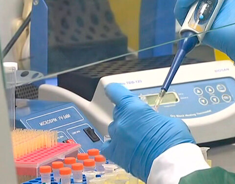 За сутки в Якутии выявили 256 новых случаев коронавируса