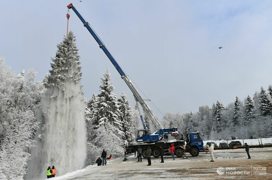 Новогоднюю ёлку, которая украсит Кремль, срубили в Подмосковье