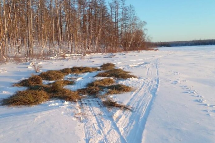 В парке "Ленские столбы" Якутии инспекторы помогают диким животным выжить в лютые морозы