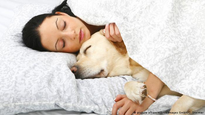 Учёные выяснили, что перед сном ум обостряется