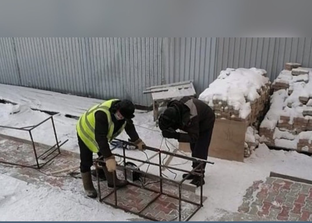 В Якутске устанавливают ловушки для безнадзорных собак