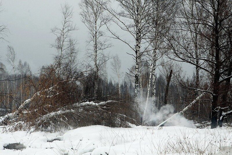 Глава Якутии: По горящим торфяникам надо принимать меры, чтобы к весне они по новой не разгорелись