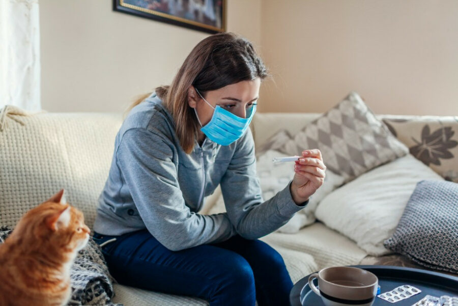 Свиной грипп в Якутии: симптомы и профилактика