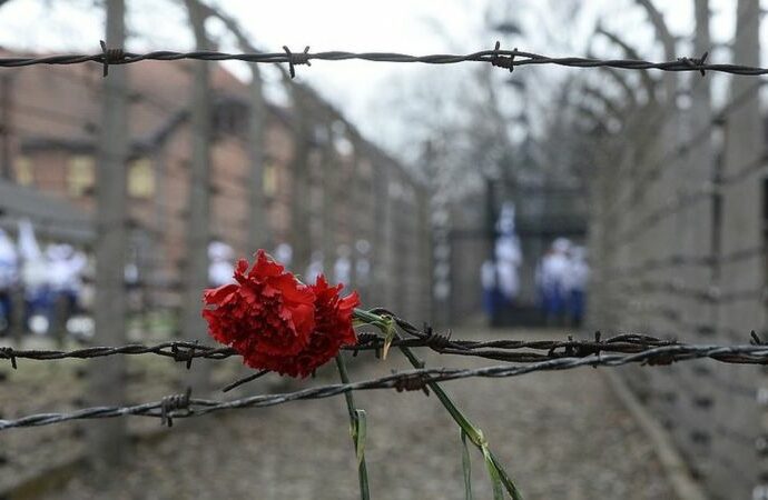 Минпросвещения вернуло День памяти жертв холокоста в план воспитательной работы