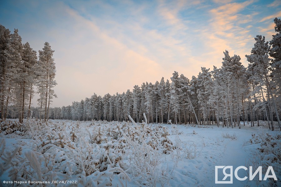 На юго-западе — оттепель, в центральных районах Якутии — похолодание: прогноз погоды